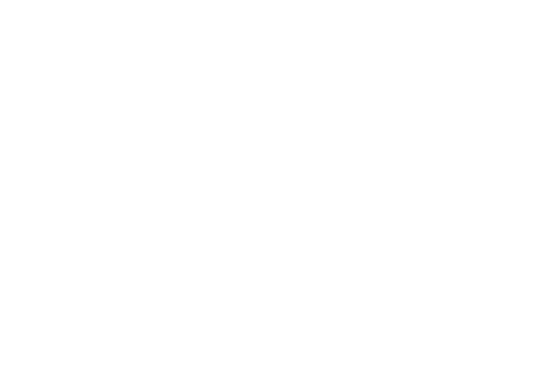 Syntec PH Logo